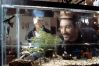 A FISH CALLED WANDA, Michael Palin, Kevin Kline, 1988