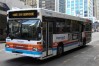 Auckland buses