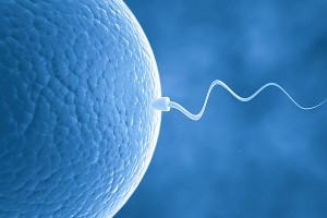 IVF and medical equipment