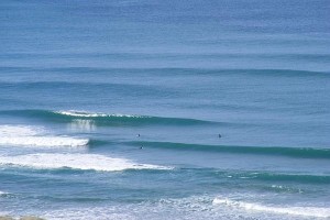 NZ Coastlines