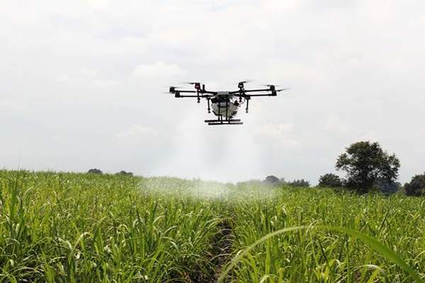 Drones for farming sector_MYOB