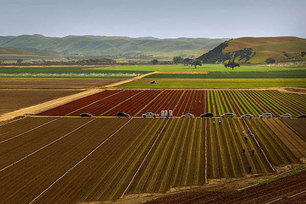 Salinas_NZAgTech_Western Growers deal