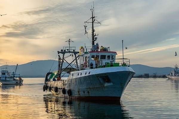 Fisheries NZ_fish monitoring