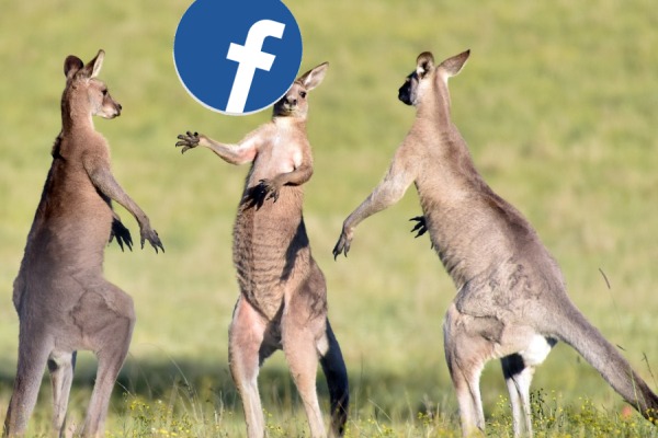 Kangaroo court_Facebook