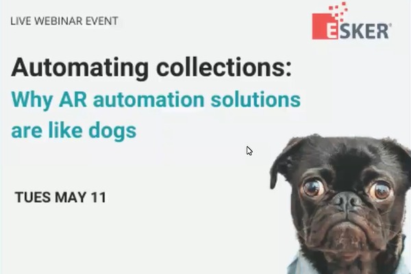 Video: Automating collections