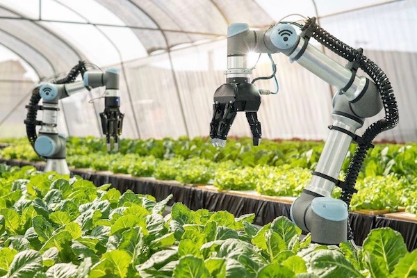 Agritech sector reaps fruits of labour