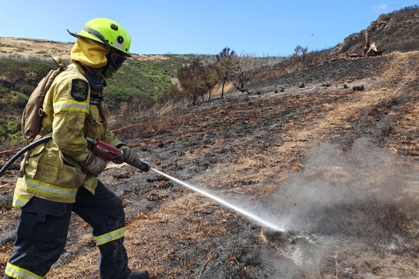 FENZ slashes compliance overload costs