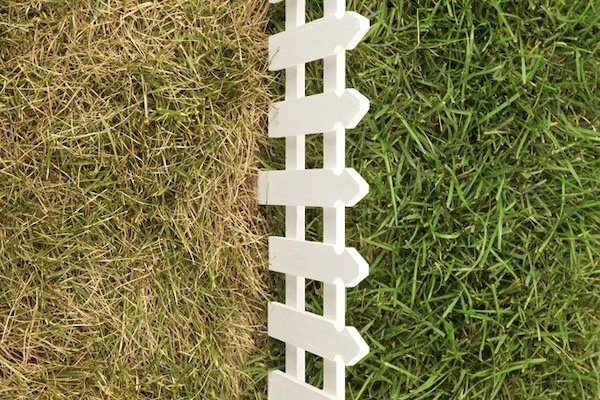 Kiwi businesses hit Ctrl-Alt-Delete for 2026