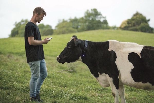 Halter ramps up hiring after Thiel-backed US$220m raise