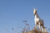 AI drives 2026 unicorn surge – but not the majority