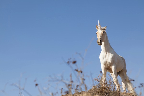 AI drives 2026 unicorn surge – but not the majority