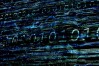CC000638