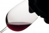 wine-tasting