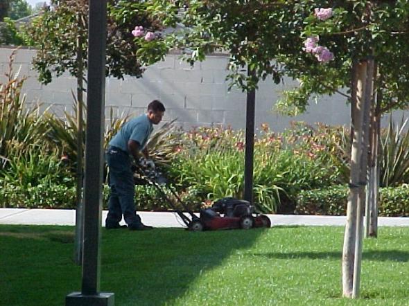 mobico_city_parks_services_cs