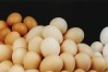 flow_software_hessels_poultry_cs
