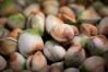 MYOB_Southern Clams