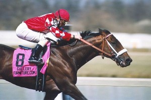 racehorse