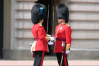 changing of the guard microsoft NZ
