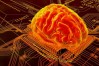 rankbrain