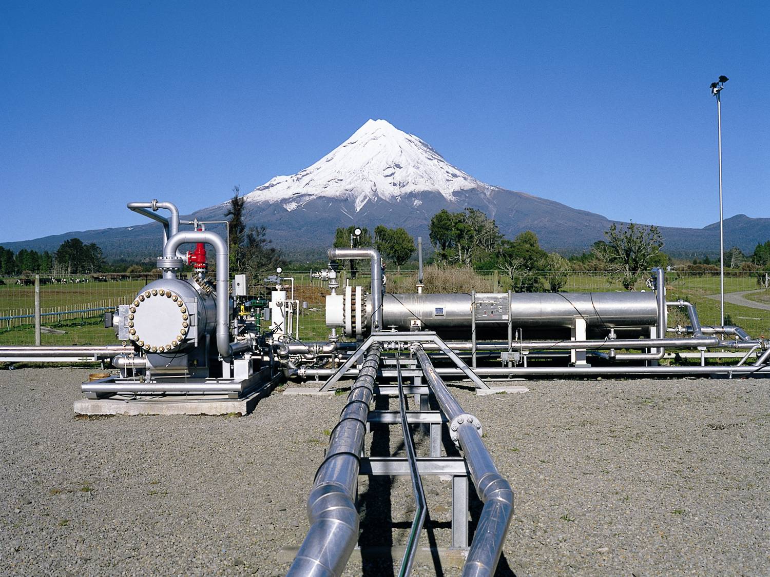 NZ Oil