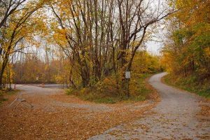 DevOps and API's