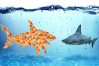 microservices support digital transformation_TIBCO