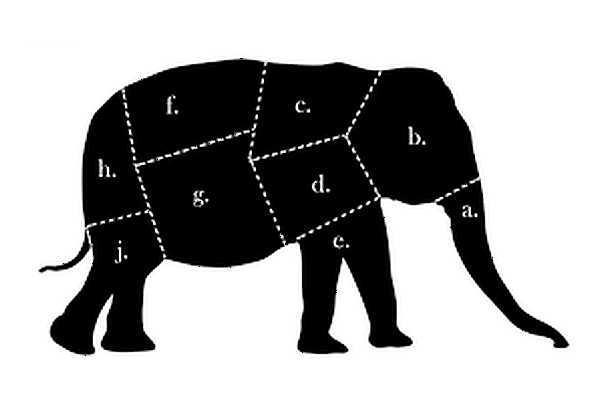 NOW_Agile_data_warehouse_eat_elephant