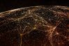 SAP intelligence era