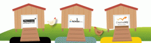How to hatch your business