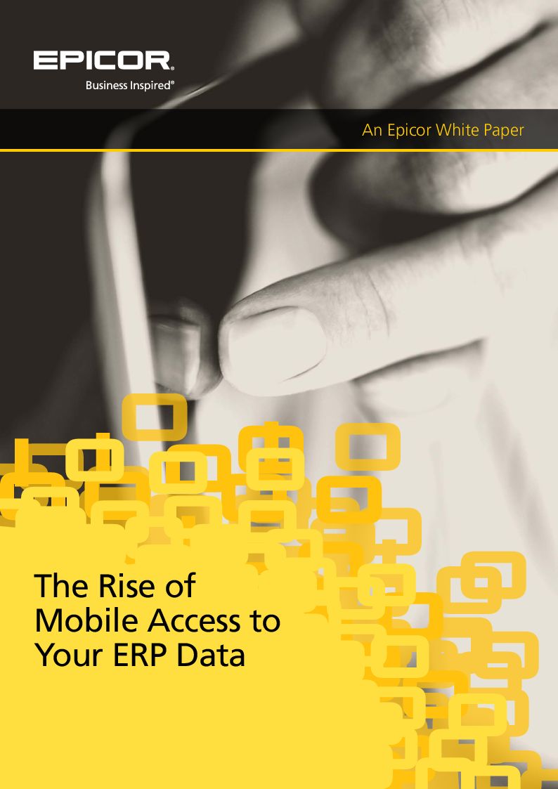 Mobile Access to ERP